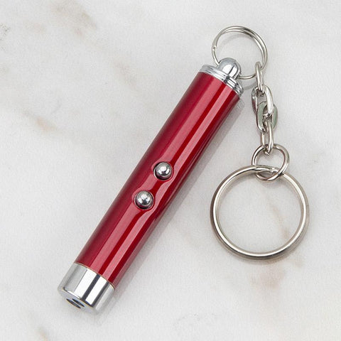 Pet Cat Dog Chase Training LED Laser Pointer Toy-HA01975-Veeddydropshipping