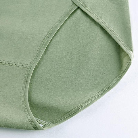 Panties for Women Underpants High Waist-Veeddydropshipping