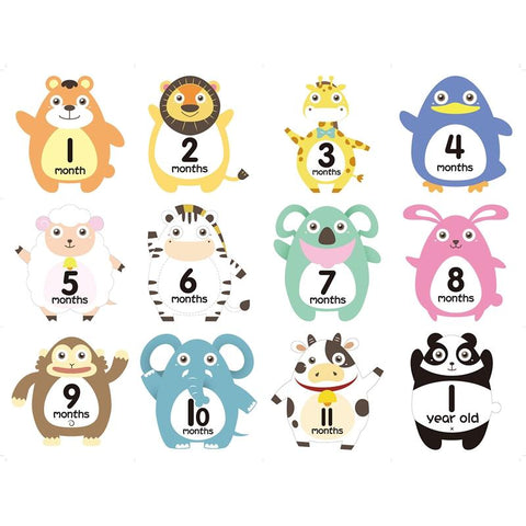 12PCS Month Stickers Baby Photography Milestone Paper Made Cards Newborn-TB00791-Veeddydropshipping