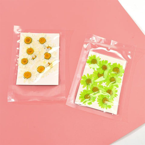 Dried Flowers Resin Filler Jewelry Making Plant Decoration-HA00664-Veeddydropshipping