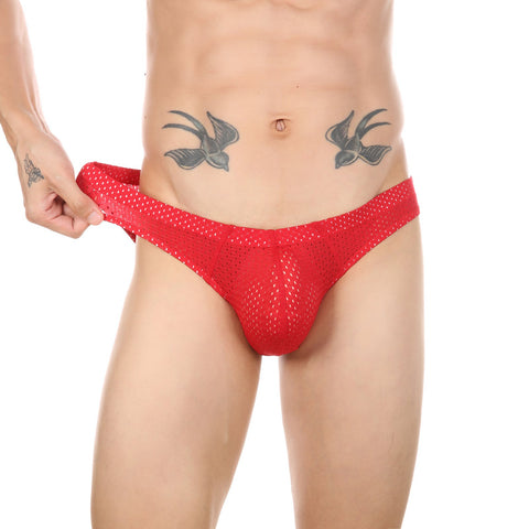 briefs Mesh Underwear Male Panties Sheer Hollow Underpants-MF01523-Veeddydropshipping