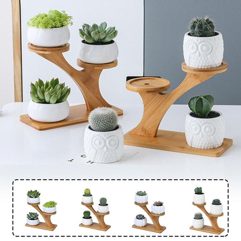 Plant Shelves Flower Display Stand-HA01721-Veeddydropshipping