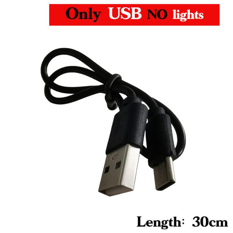 Mini Rechargeable LED Flashlight High Power Zoom Torch Outdoor Camping-TI00768-Veeddydropshipping