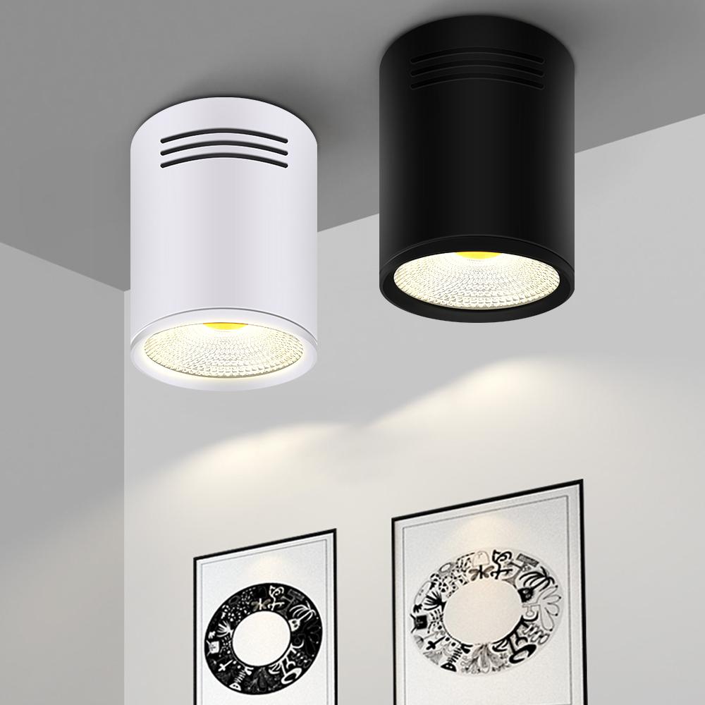 LED Down light Dimmable Surface Mounted-TI00374-Veeddydropshipping