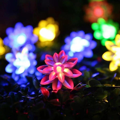 Solar String Christmas Lights Outdoor 100LED Waterproof Flower Garden-TI00811-Veeddydropshipping