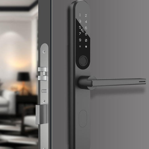 Smart Door Lock With Biometric Fingerprint-CO00603-Veeddydropshipping