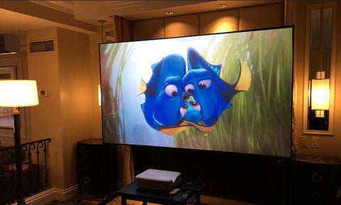 Light Projection Screen Rejecting Fixed Frame Edge Free-Veeddydropshipping