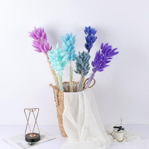 Fluffy Pampas Dried Flowers Bouquet Home Decor-HA00642-Veeddydropshipping