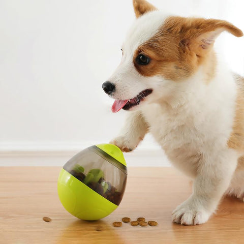 Pet Funny Interactive Dog Cat Toy Feed Bowl-HA01504-Veeddydropshipping
