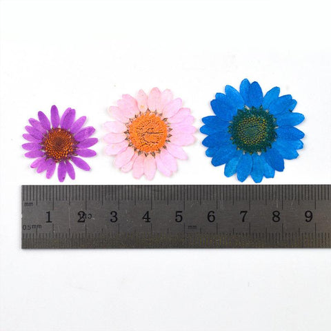 Dried Flowers Resin Filler Jewelry Making Plant Decoration-HA00664-Veeddydropshipping
