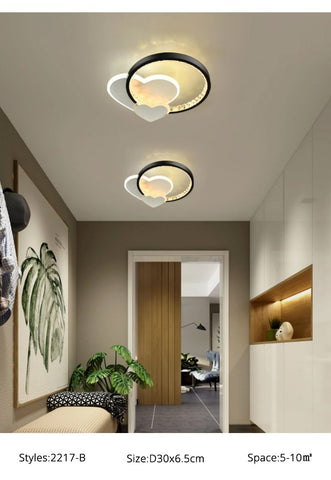 Modern Acrylic Small Ceiling Lamp LED Lights-TI00288-Veeddydropshipping