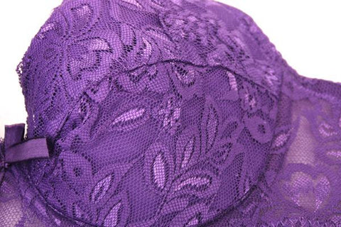 Plus Size Lace Bras Women Underwear-WF00990-Veeddydropshipping