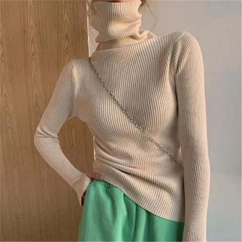 Women heaps collar Turtleneck Sweaters Slim Pullover-WF00004-Veeddydropshipping
