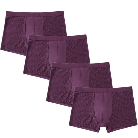 Mesh Breathable L-5XL Boxee Men Underwear Brief Underpants-MF01515-Veeddydropshipping