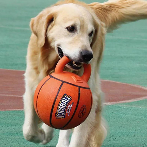 Dog Toys Bite-Resistant Pet Toy Ball-HA01485-Veeddydropshipping