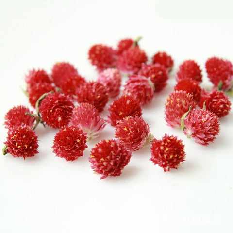 Natural Dried Flowers Head Epoxy Resin Mold-HA00747-Veeddydropshipping