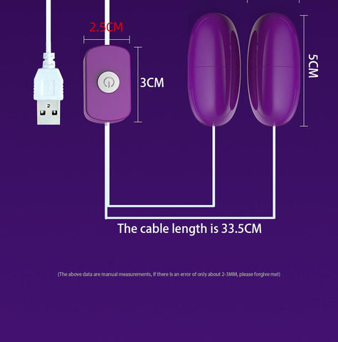 USB double jump egg vibrator fun toy female mute strong vibration jump egg -BH01239-Veeddydropshipping