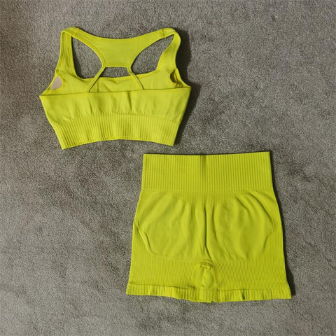 Fitness Yoga Set Seamless Sport Women's Sportswear High Waist Leggings -OS00870-Veeddydropshipping