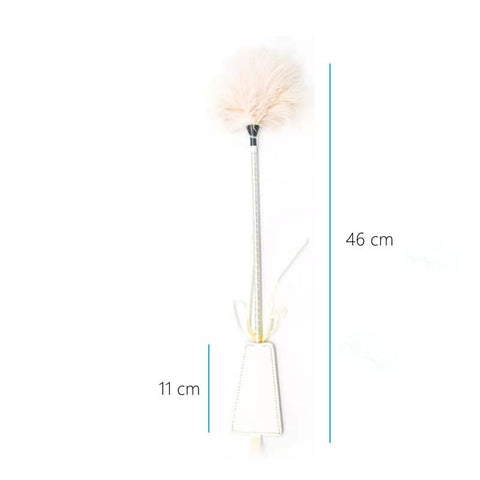 Flirt Tickle Erotic Feather with Fetish Punish Leather Spank Whip for Men Women -BH01336-Veeddydropshipping