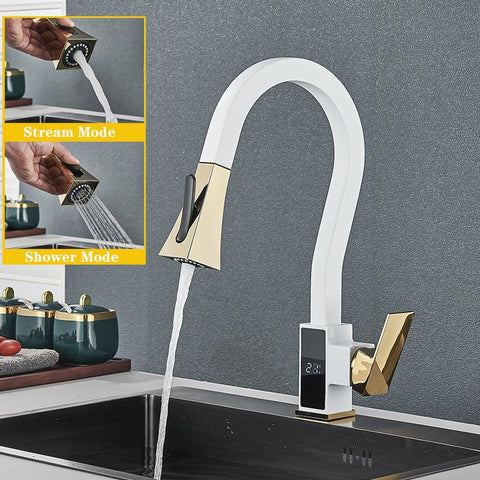 Digital Display Kitchen Faucet-TI00605-Veeddydropshipping