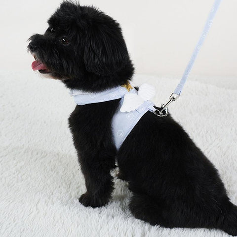 Cat Dog Harness Necklace Leash Collar-HA01981-Veeddydropshipping