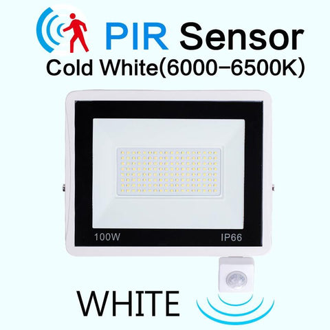 Radar LED Floodlight Outdoor PIR Sensor Light AC220V 10W 20W 30W-TI00873-Veeddydropshipping