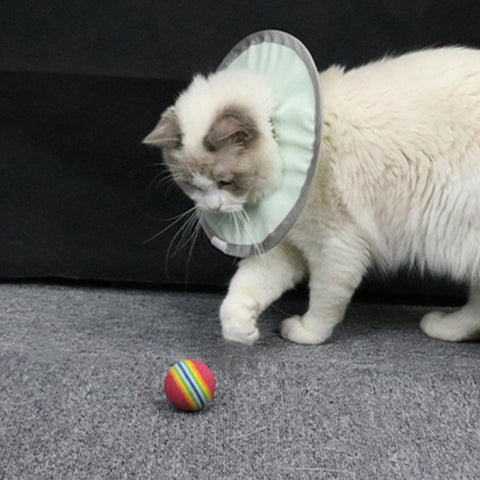Pet Cat Collar Waterproof Anti-licking Nylon Skin-friendly-HA01393-Veeddydropshipping
