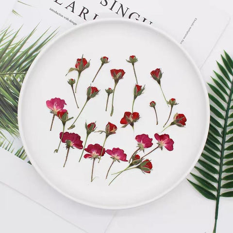 rose dried flowers all kinds of DIY dry flower-HA00672-Veeddydropshipping