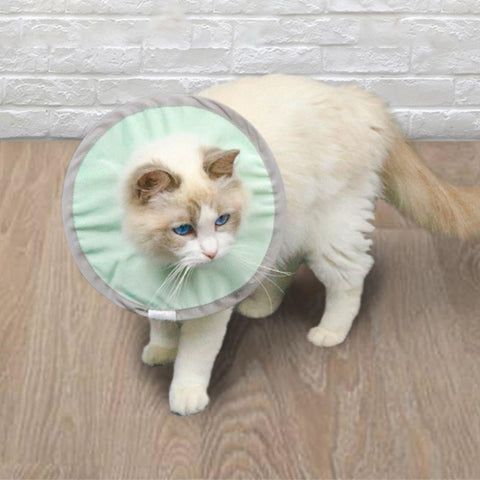 Pet Cat Collar Waterproof Anti-licking Nylon Skin-friendly-HA01393-Veeddydropshipping