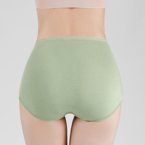 Panties for Women Underpants High Waist-Veeddydropshipping
