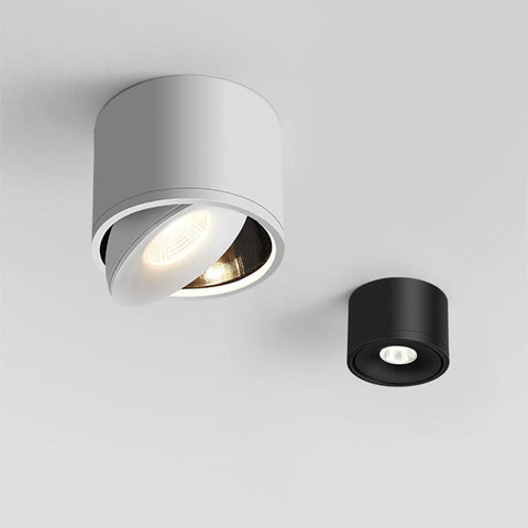 Dimmable Surface Mounted LED Ceiling Light-TI00373-Veeddydropshipping