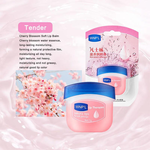 Plant Lip Balm Moisturizing Lipsticks Base Lip Oil-BH00649-Veeddydropshipping