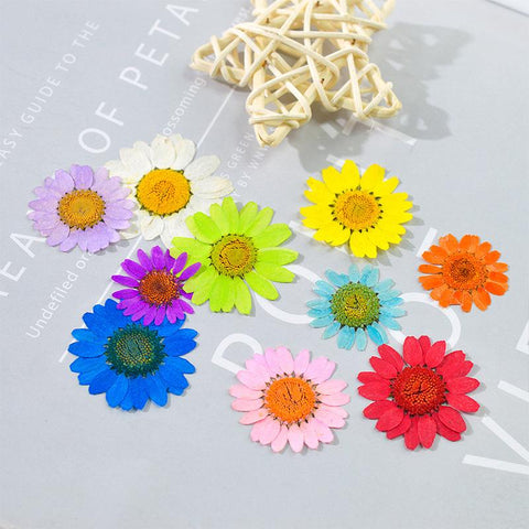 Dried Flowers Resin Filler Jewelry Making Plant Decoration-HA00664-Veeddydropshipping