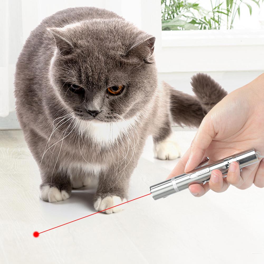Usb Rechargeable Funny Cat Chaser Toys-HA01988-Veeddydropshipping