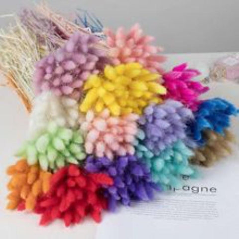 Natural Bunny Tail Grass Boho Fluffy Pampas Grass-HA00683-Veeddydropshipping