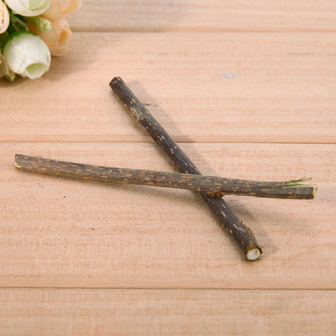 Cat Teeth Sticks Brushing Pure Natural Catnip-HA01367-Veeddydropshipping