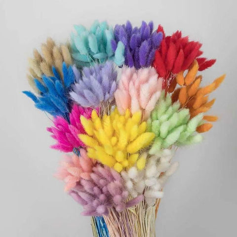 Natural Bunny Tail Grass Boho Fluffy Pampas Grass-HA00683-Veeddydropshipping