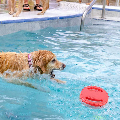 Pet UFO Toys Dog Flying Discs Trainning-HA01493-Veeddydropshipping