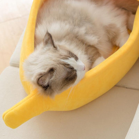 Banana Cat Bed House Funny Cute Cozy-HA01406-Veeddydropshipping