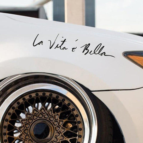 Vita e bella light eyebrow car bumper scratch-AM00944-Veeddydropshipping