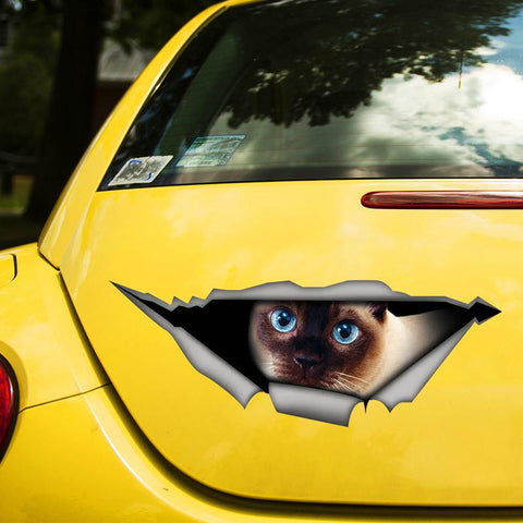 Self-adhesive Decal Car Sticker Waterproof Auto Decors on-AM01011-Veeddydropshipping