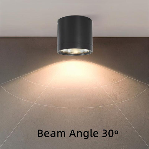 Waterproof  LED Ceiling Down lights-TI00387-Veeddydropshipping