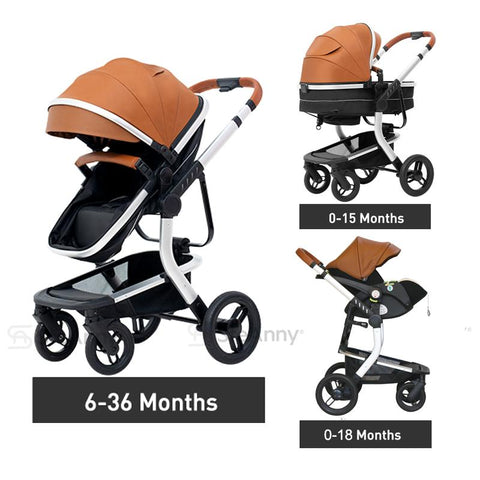 Multifunction 5-IN-1 Baby Stroller Portable Pram High Landscape Infant Cart Luxury-TB00350-Veeddydropshipping