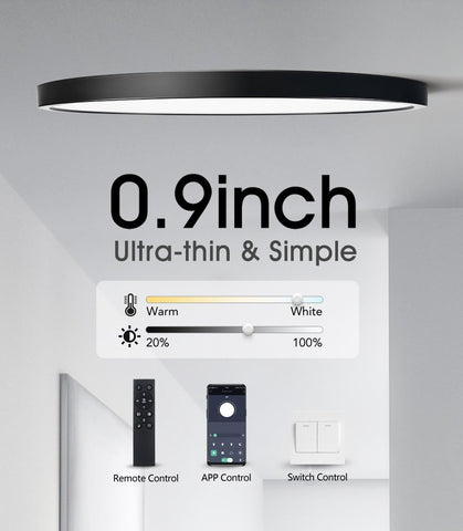 Ceiling Lamp APP/Remote Control LED Smart Lights-TI00292-Veeddydropshipping