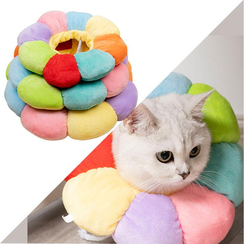 Rainbow Sunflower Elizabethan Cat Collar Harness-HA01997-Veeddydropshipping