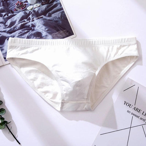 And Winter Briefs Cotton Underpants Pure Color Adult Breathable-MF01634-Veeddydropshipping