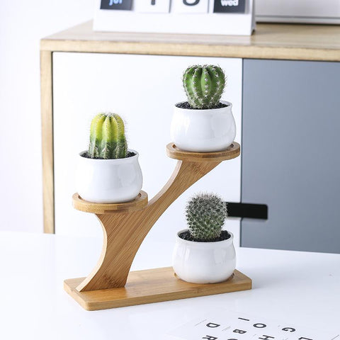 Plant Shelves Flower Display Stand-HA01721-Veeddydropshipping