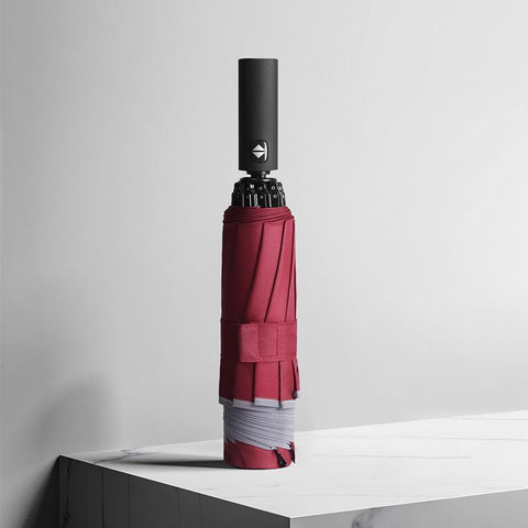Windproof Double Layer Resistant Umbrella-HA00977-Veeddydropshipping