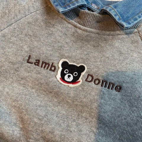 Toddler Boys Bear Polo Shirt Childrens Baby Kids Long Sleeve T-shirt Fashion-TB01347-Veeddydropshipping