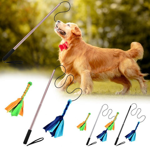 Dog Teaser Rod Bite-resistant Retractable-HA01503-Veeddydropshipping